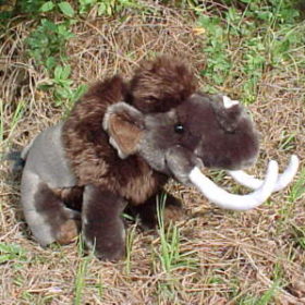 bbc earth stuffed animals